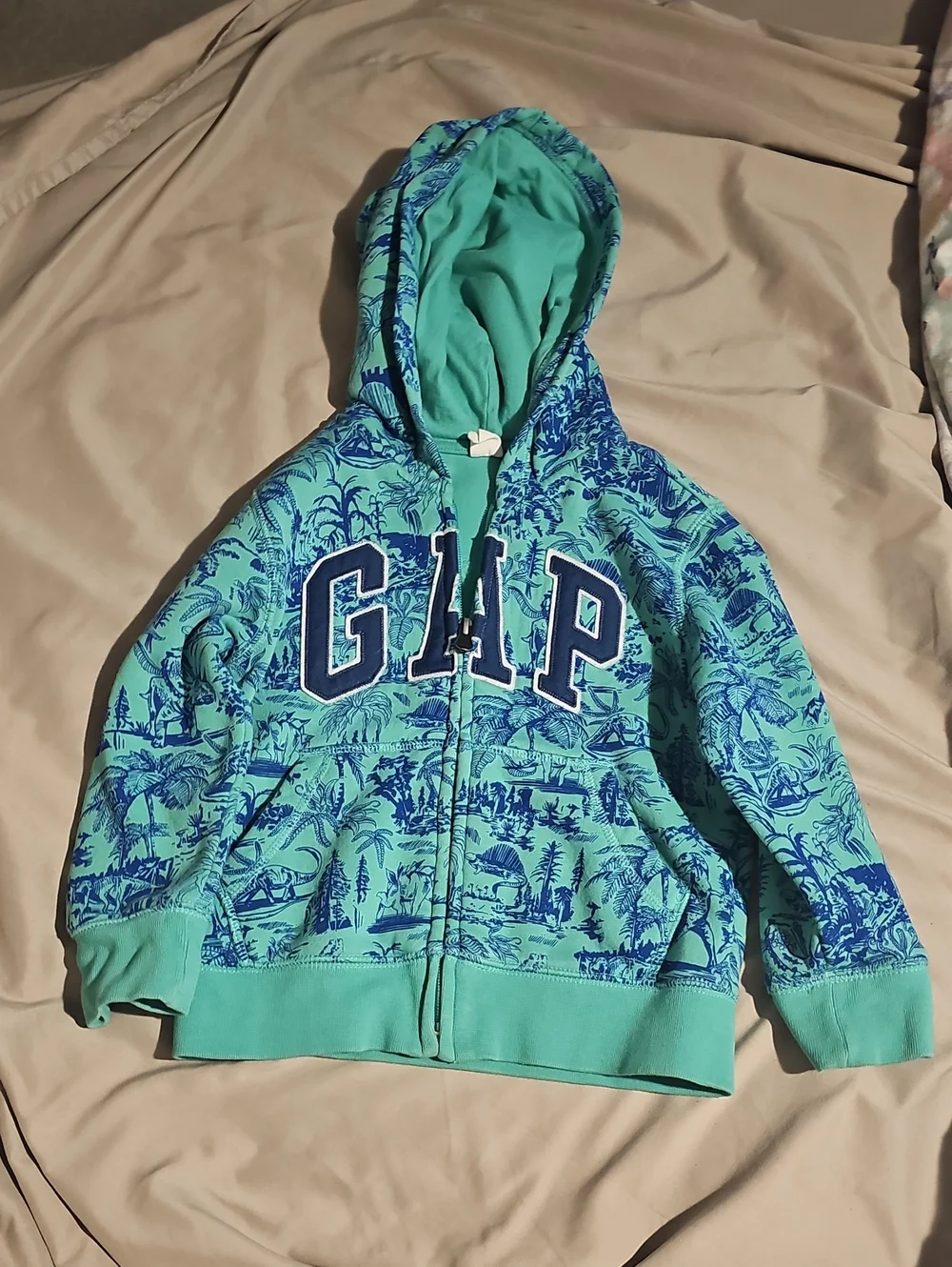 GAP Teal & Blue Zip-Up Hoodie Size 4T Great Condition
